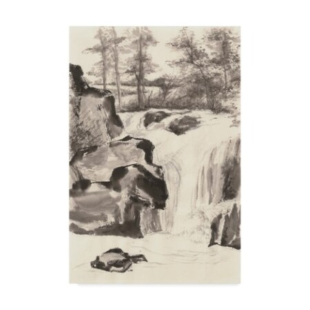Chris Paschke 'Sumi Waterfall I' Canvas Art,30x47